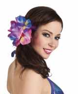 Clip hawaii hibiscus bloem