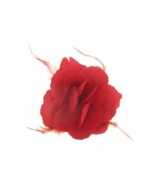 Decoratiebloem elastiek rood 10x10cm