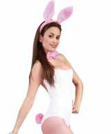 Feest carnaval bunnygirl konijnen hazen verkleedaccessoires set roze dames