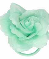 Haarbloem klem groen